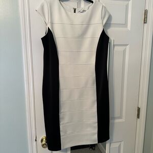 Elegant Black and White Sandra Darren Dress